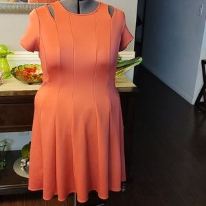 Coral Lane Bryant Dress